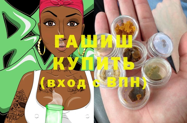 шишки Осинники
