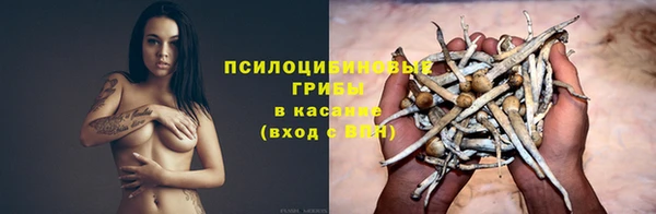 кокс Алзамай