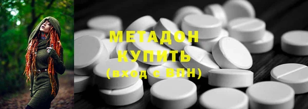 шишки Осинники