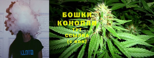 spice Осташков