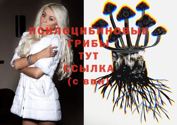 мдпв Алексеевка