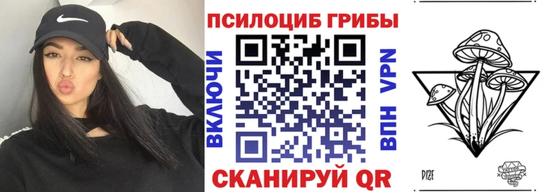 Галлюциногенные грибы Psilocybe  наркотики  Новоульяновск 